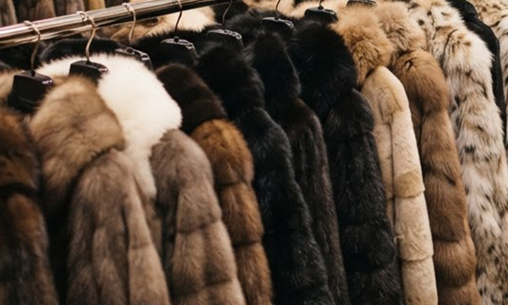 Молевой высев и молеедение.
